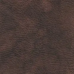 Pranna Bronce - Muestra de color y textura