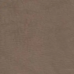 Pranna Capuchino - Muestra de color y textura