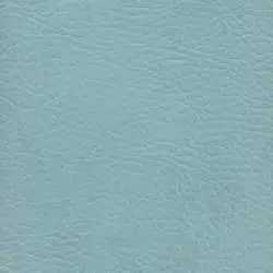 Pranna Celeste - Muestra de color y textura