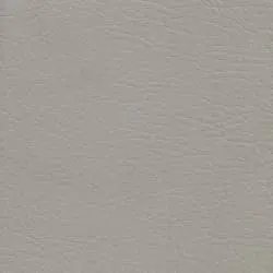 Pranna Ceniza - Muestra de color y textura