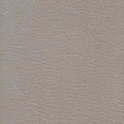Pranna Champaña - Muestra de color y textura