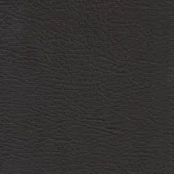 Pranna Chocolate - Muestra de color y textura