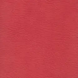 Pranna Coral - Muestra de color y textura