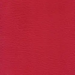 Pranna Escarlatal - Muestra de color y textura