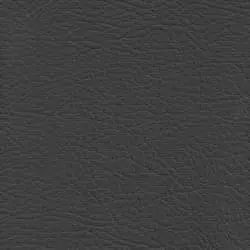 Pranna Gris Oscuro - Muestra de color y textura