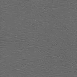 Pranna Gris - Muestra de color y textura