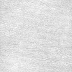 Pranna Hielo - Muestra de color y textura