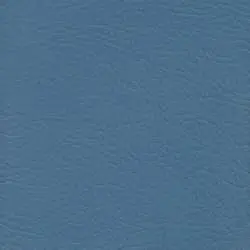 Pranna Hortencia - Muestra de color y textura