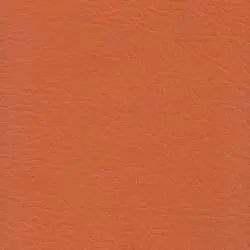 Pranna Mandarina - Muestra de color y textura