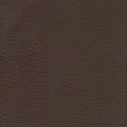 Pranna Marron - Muestra de color y textura