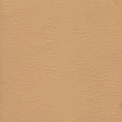 Pranna Mostaza - Muestra de color y textura