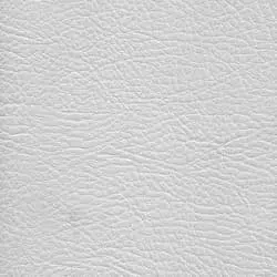 Pranna Nacar - Muestra de color y textura