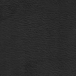 Pranna Negro - Muestra de color y textura