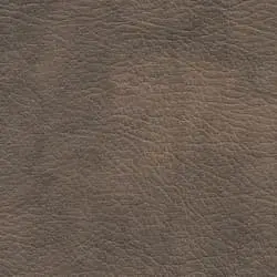 Pranna Oro - Muestra de color y textura