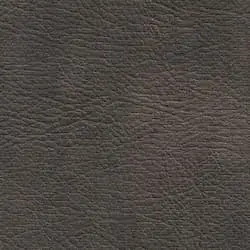 Pranna Petroleo - Muestra de color y textura