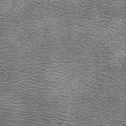 Pranna Plata - Muestra de color y textura