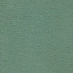 Pranna Safari - Muestra de color y textura