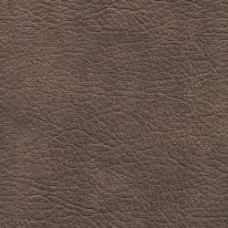 Pranna Sepia - Muestra de color y textura