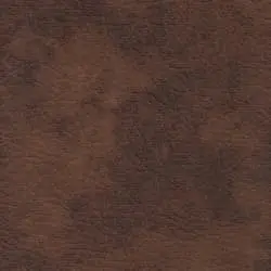 Pranna Tabaco - Muestra de color y textura