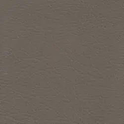 Pranna Taupe - Muestra de color y textura