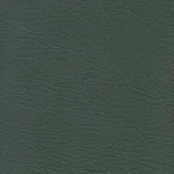 Pranna Verde Claro - Muestra de color y textura