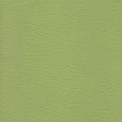 Pranna Verde Manzana - Muestra de color y textura