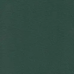 Pranna Verde Oscuro - Muestra de color y textura