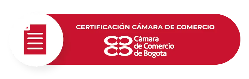 Documento 2