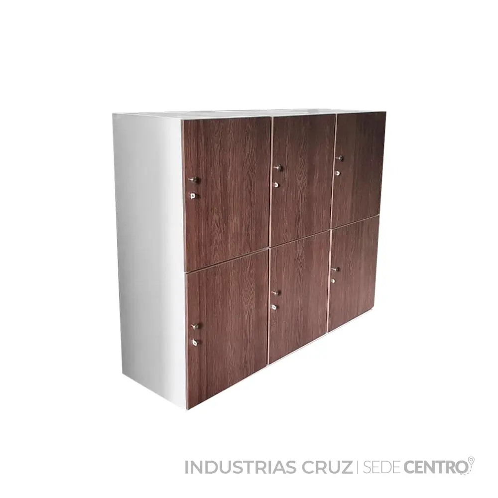 Imagen asociada a 5 Tipos de Casilleros