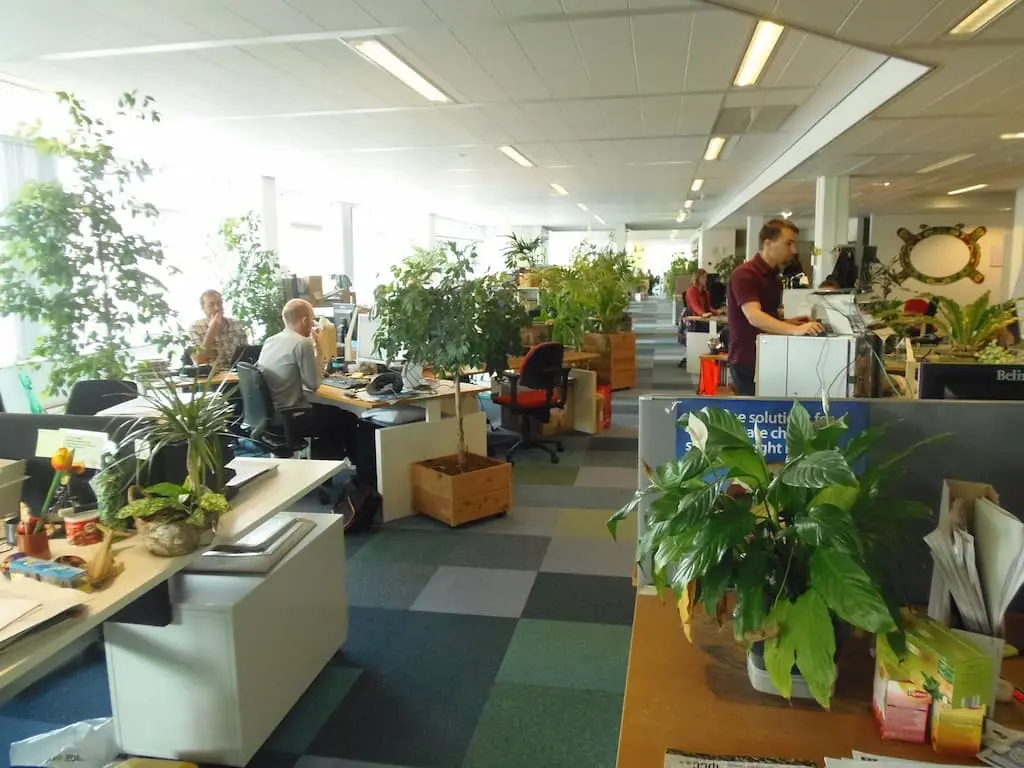 Imagen asociada a Oficinas verdes: Visión de productividad